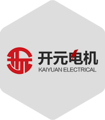 山東開(kāi)元電機(jī)有限公司